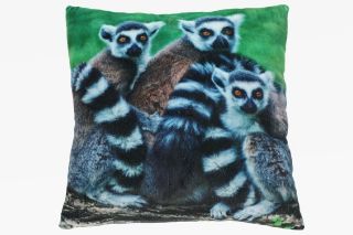 Obrázek z Polštář lemur plyšový 35x35cm (3) 